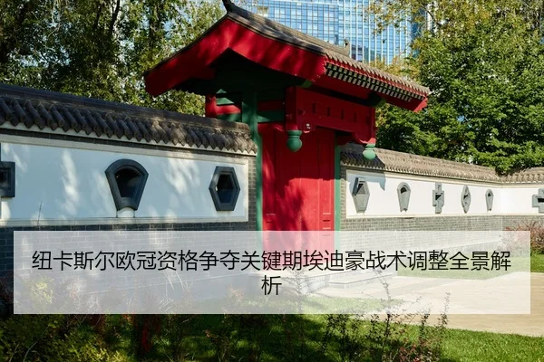 纽卡斯尔欧冠资格争夺关键期埃迪豪战术调整全景解析